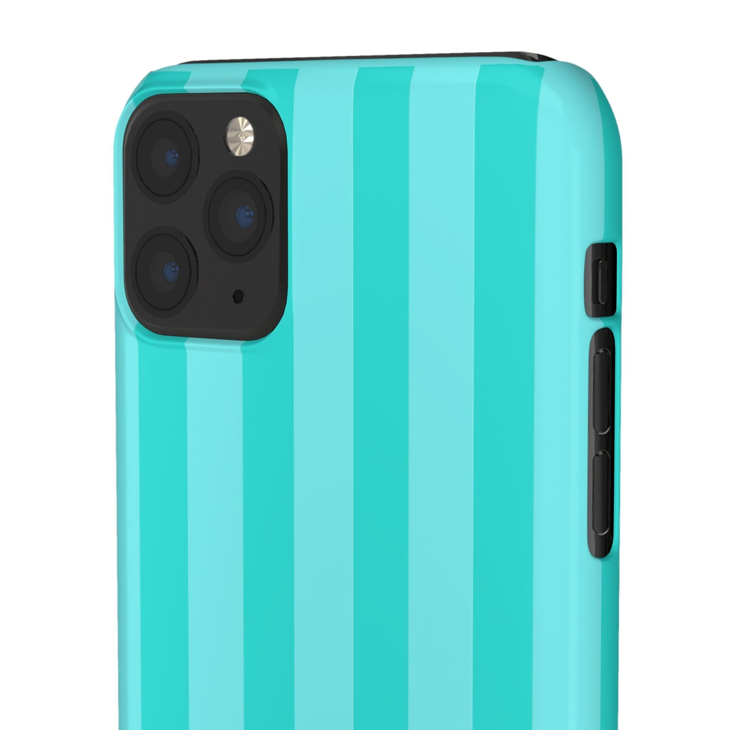 Striped Aqua Case