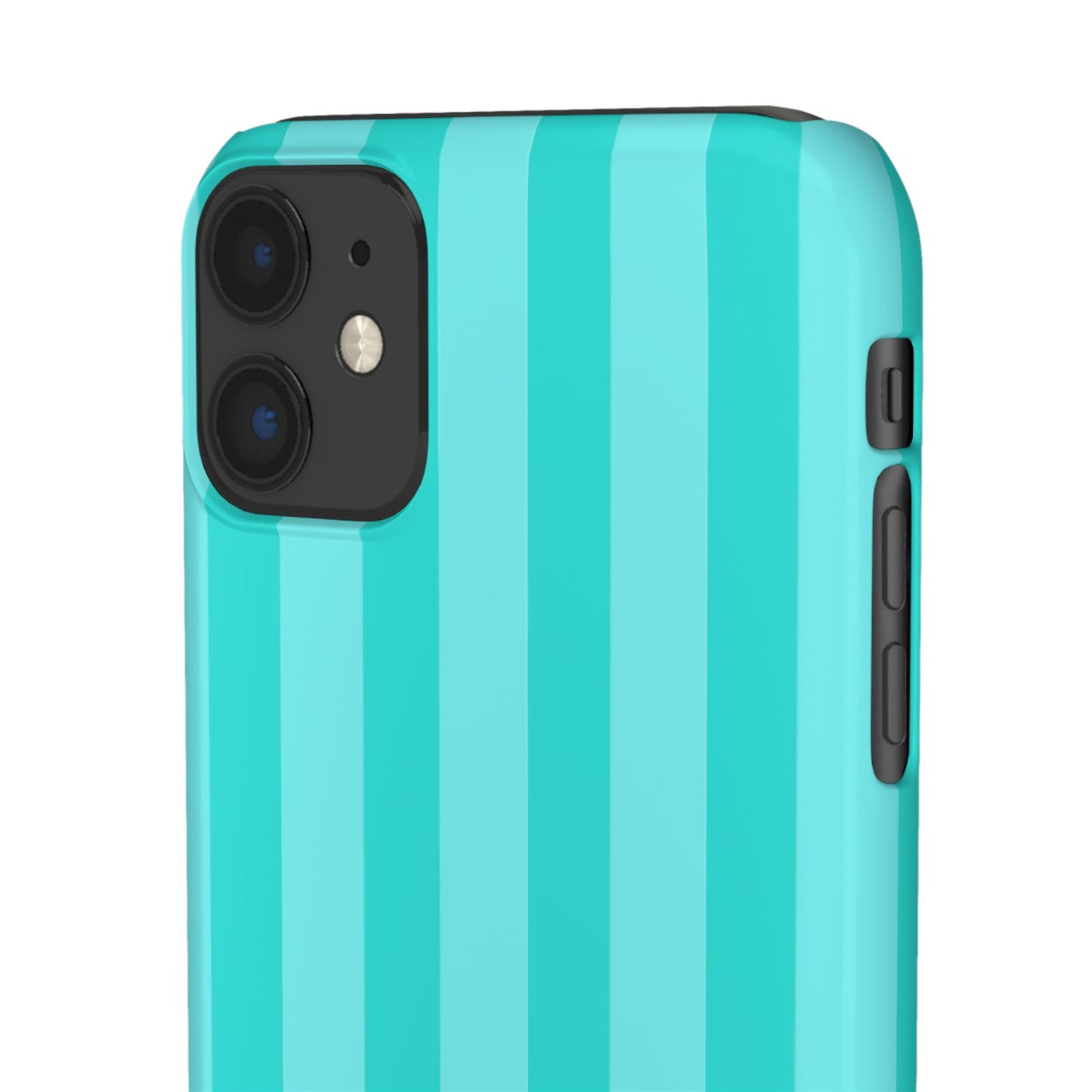 Striped Aqua Case